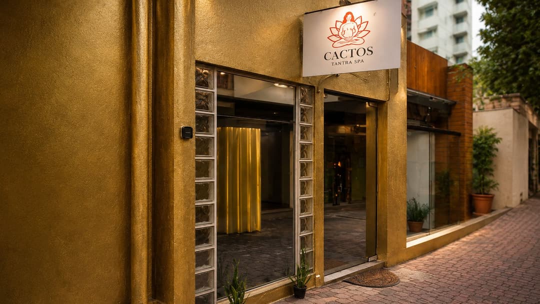 Cactos Massagem, foto 6